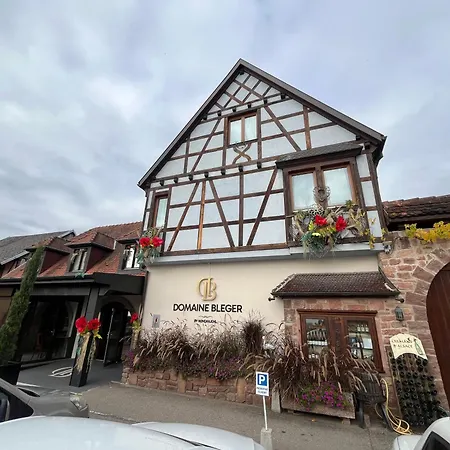 Domaine Bleger By Windmuehl Πανσιόν Saint-Hippolyte (Haut-Rhin)