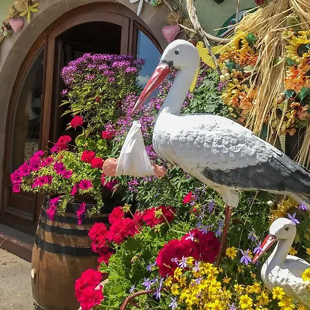 Domaine Bleger By Windmuehl 4*