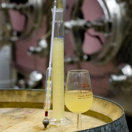 Gasthuis Domaine Bleger By Windmuehl Saint-Hippolyte (Haut-Rhin)