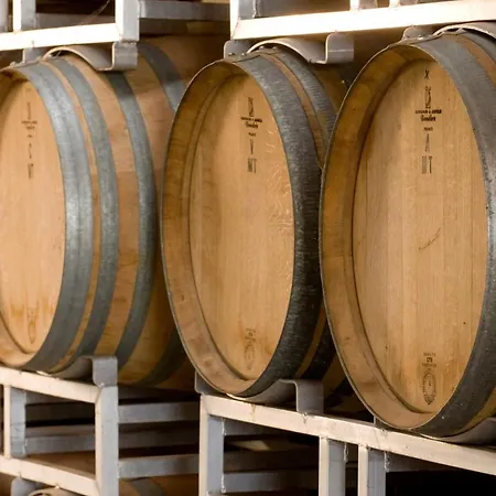 Gasthuis Domaine Bleger By Windmuehl *
