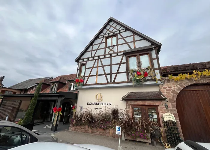 Domaine Bleger By Windmuehl Πανσιόν Saint-Hippolyte (Haut-Rhin)