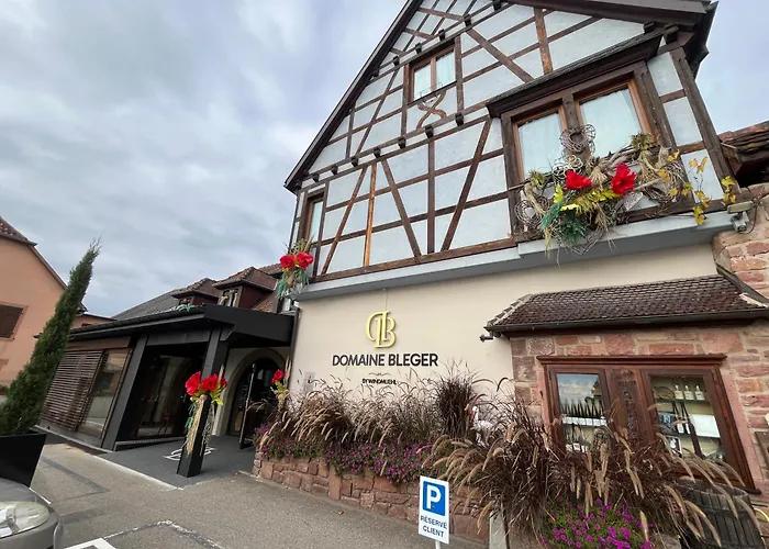 Domaine Bleger By Windmuehl 3*