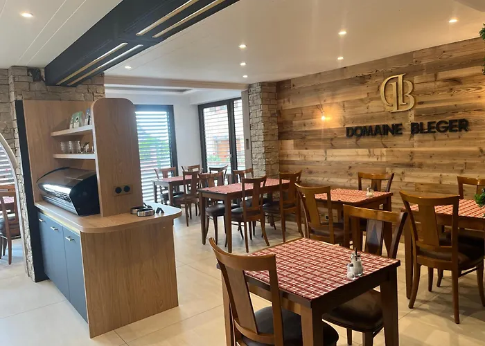 Domaine Bleger By Windmuehl Πανσιόν