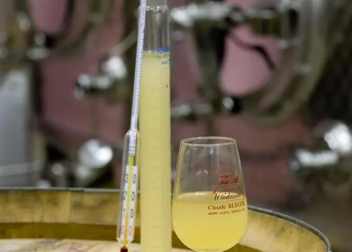 Πανσιόν Domaine Bleger By Windmuehl Saint-Hippolyte (Haut-Rhin)