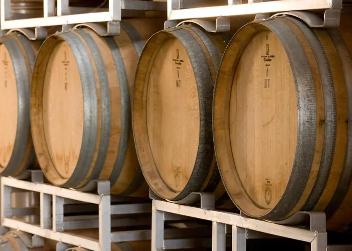 Πανσιόν Domaine Bleger By Windmuehl 3*